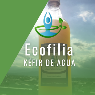 ECOFILIA – Kéfir de Agua